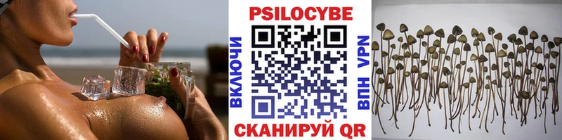 закладка  kraken маркетплейс  Псилоцибиновые грибы MAGIC MUSHROOMS  Назарово 